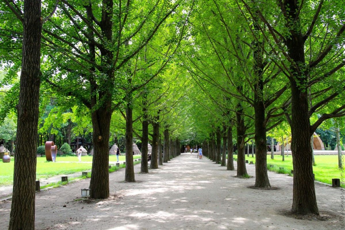 Nami Island