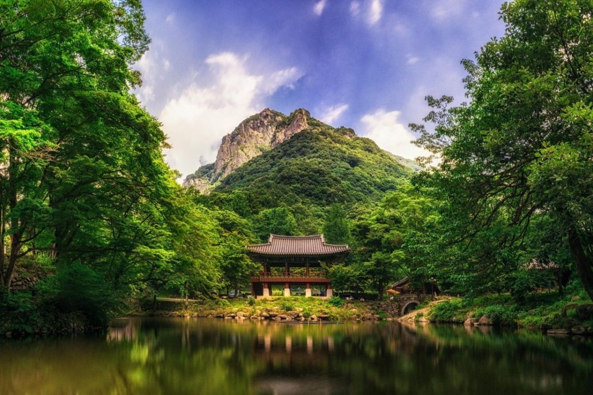 Paket Tour ke Korea Selatan 6 Hari 5 Malam Agustus Musim Panas (Summer) 2018
