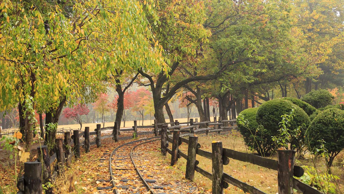 Nami Island di Musim Gugur Autumn