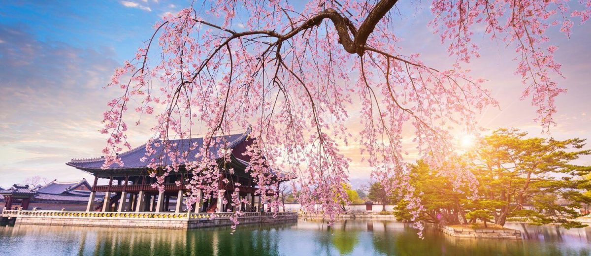 Paket Tour ke Korea Selatan 6 Hari 5 Malam April Musim Semi (Spring)