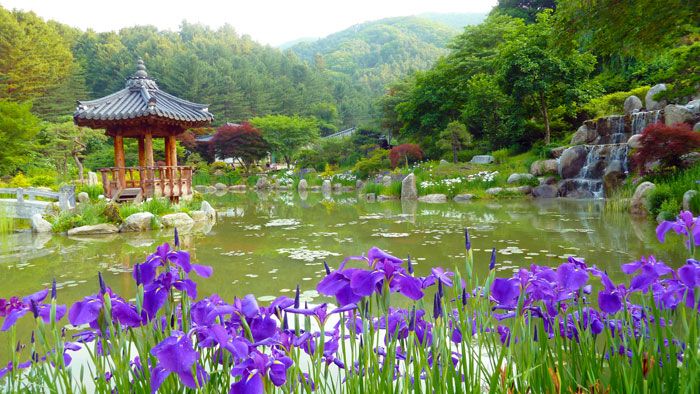Paket Tour ke Korea Selatan 6 Hari 5 Malam Juli Musim Panas (Summer) 2019