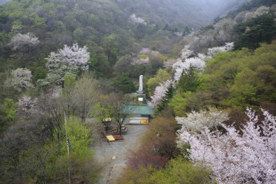 Daedunsan Spring