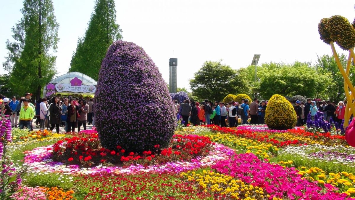 International Horticulture Goyang Korea