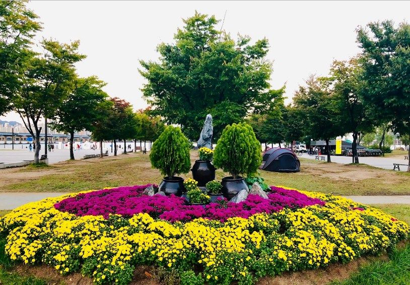 Berbagai Tema di Taman Yeouido Hangang