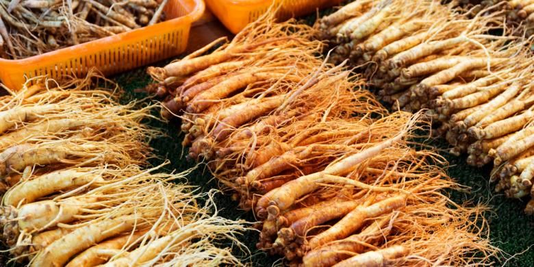 Ginseng Merah Korea, Harga Sebanding Khasiatnya
