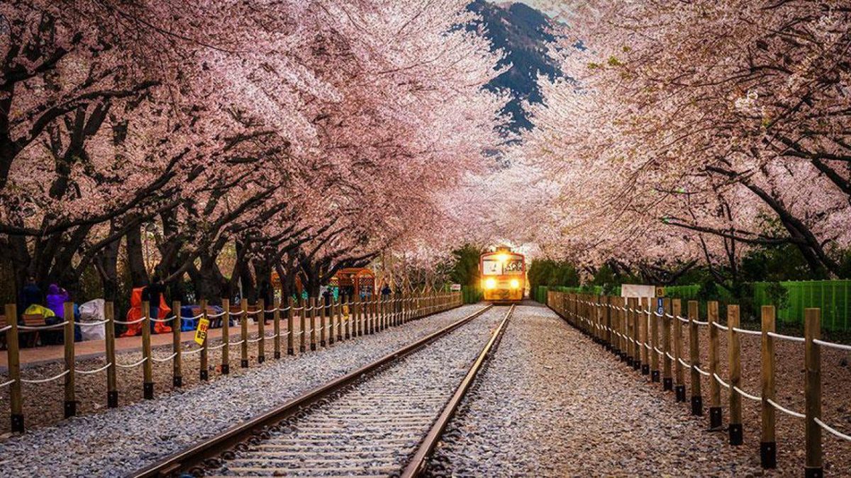 Stasiun Kyeong-Wha, Jinhae