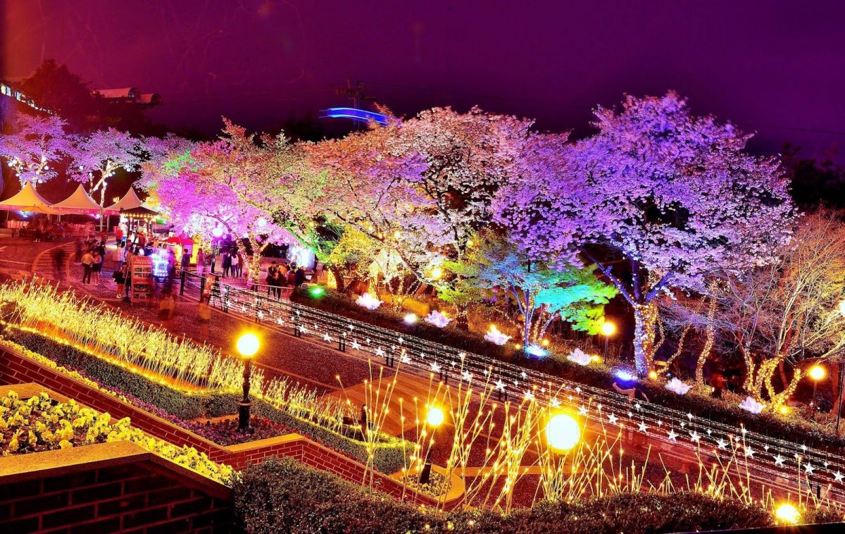 Cherry Blossom Festival