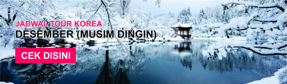 Jadwal dan Harga Tour ke Korea Desember