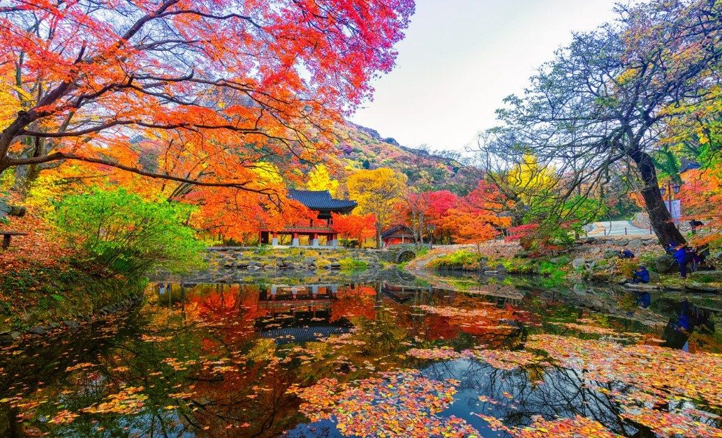 Paket Liburan Tour Ke Korea Selatan Autumn Musim Gugur Yang Romatis