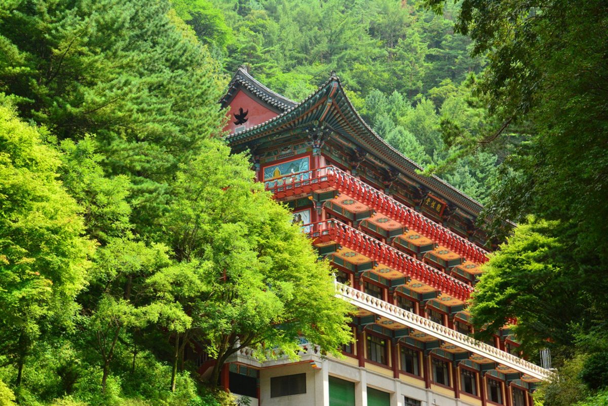 Paket Liburan Tour Ke Korea Selatan Summer Musim Panas Yang Menyenangkan
