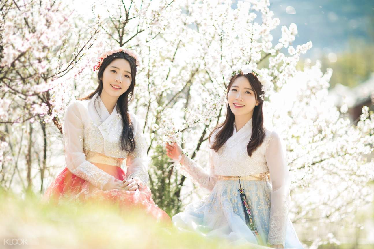 Cherry Blossom Hanbok