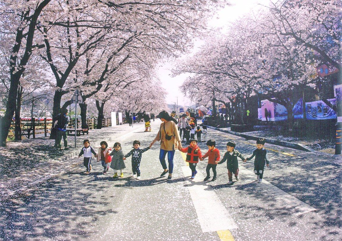 Yeongdeungpo Yeouido Spring Flower Festival