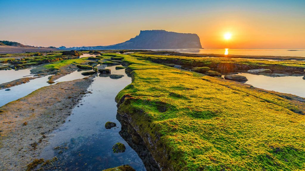 8 Tips Seru Dan Menyenangkan Untuk Liburanmu di Pulau Jeju, Korea Selatan