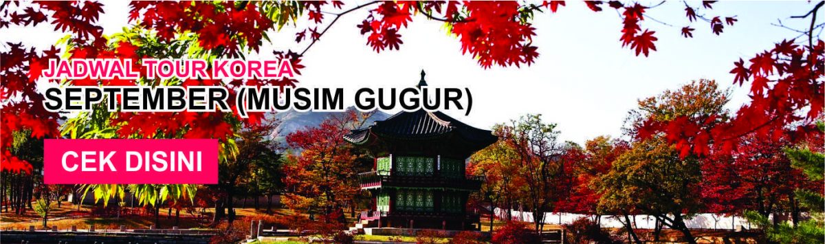 Jadwal dan Harga Tour ke Korea September