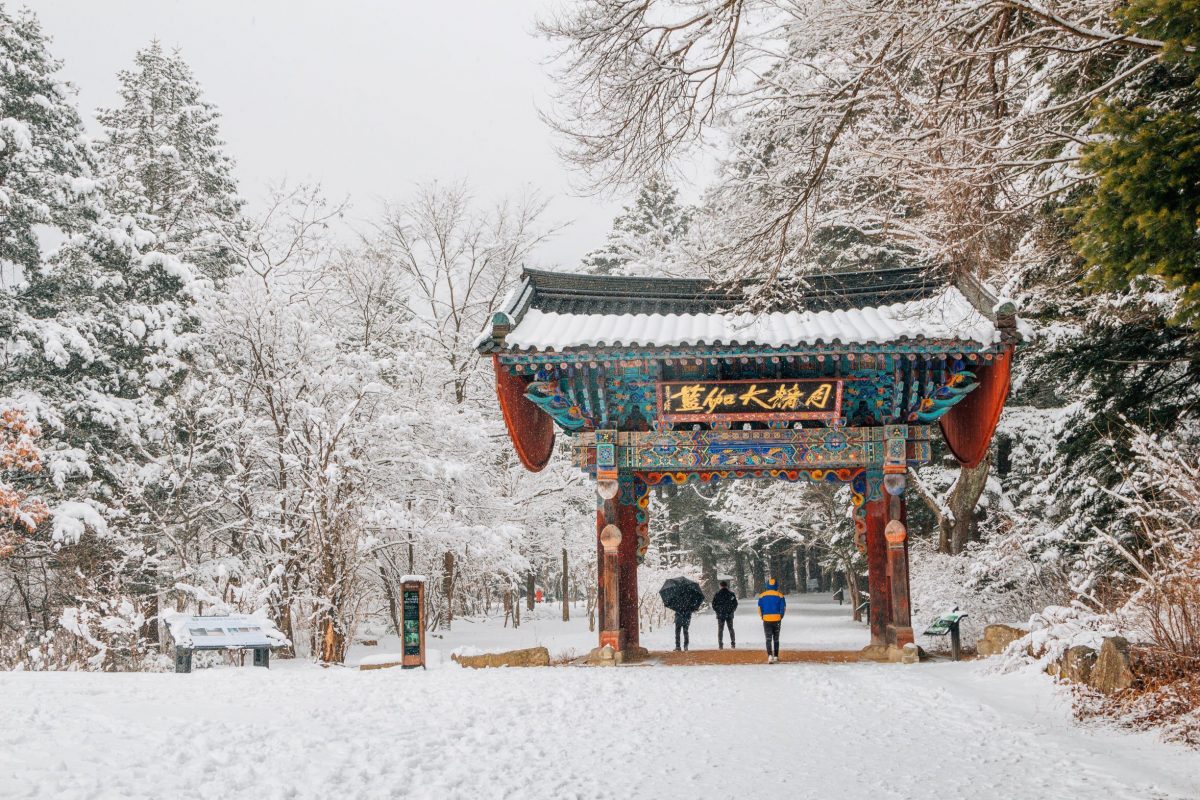 Paket Tour Korea Selatan Februari