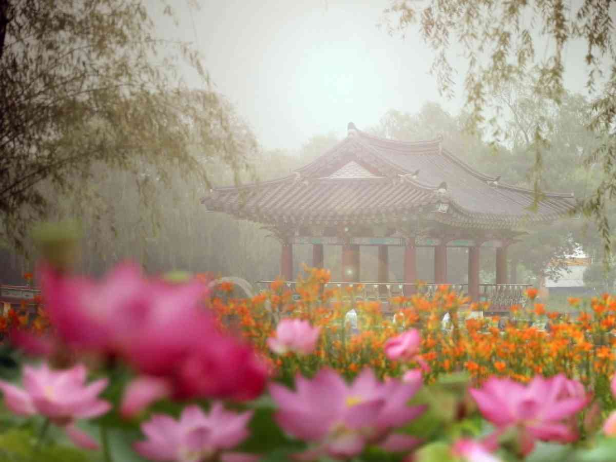 Paket Tour Korea Selatan Juli