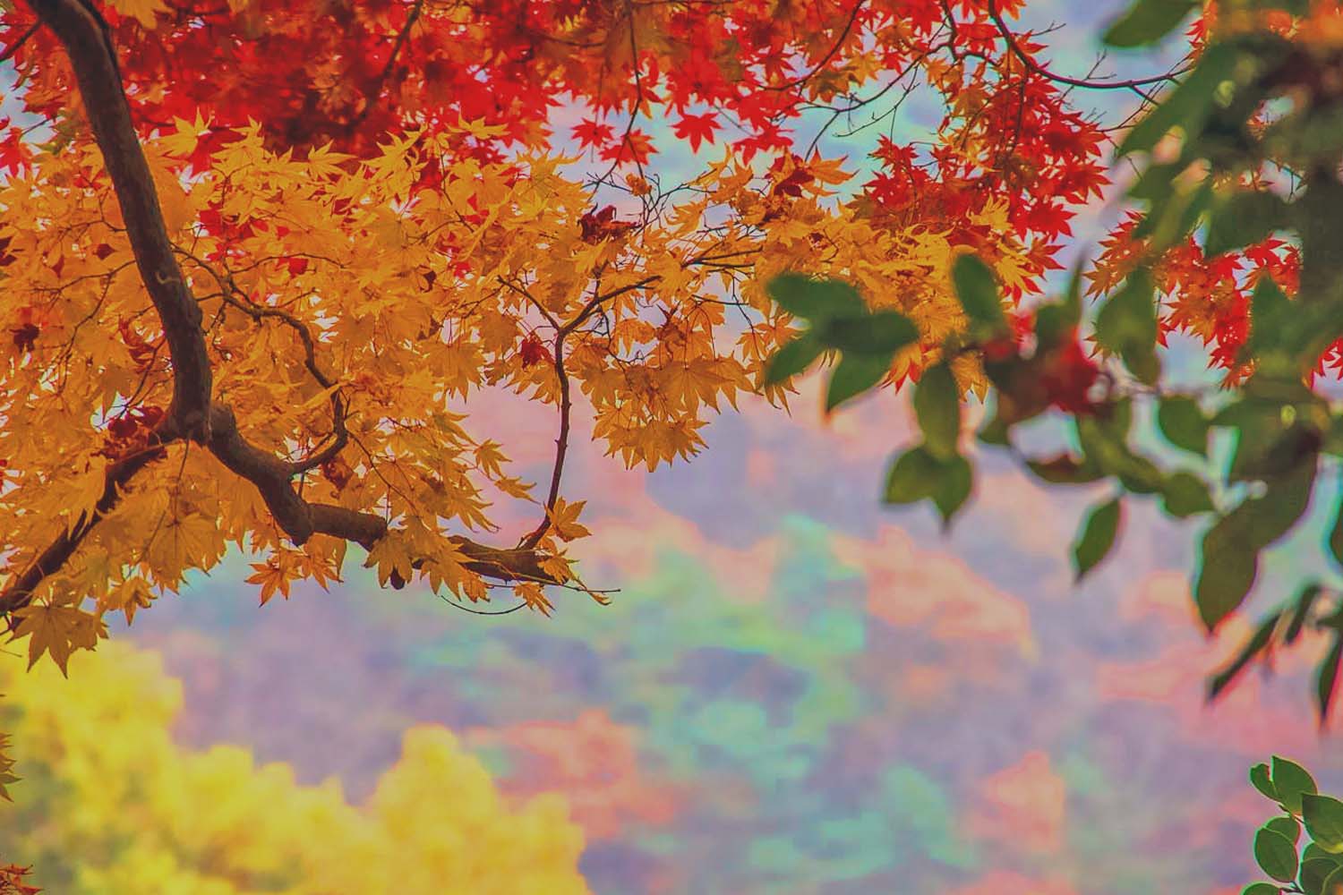 Paket Tour Korea Selatan September