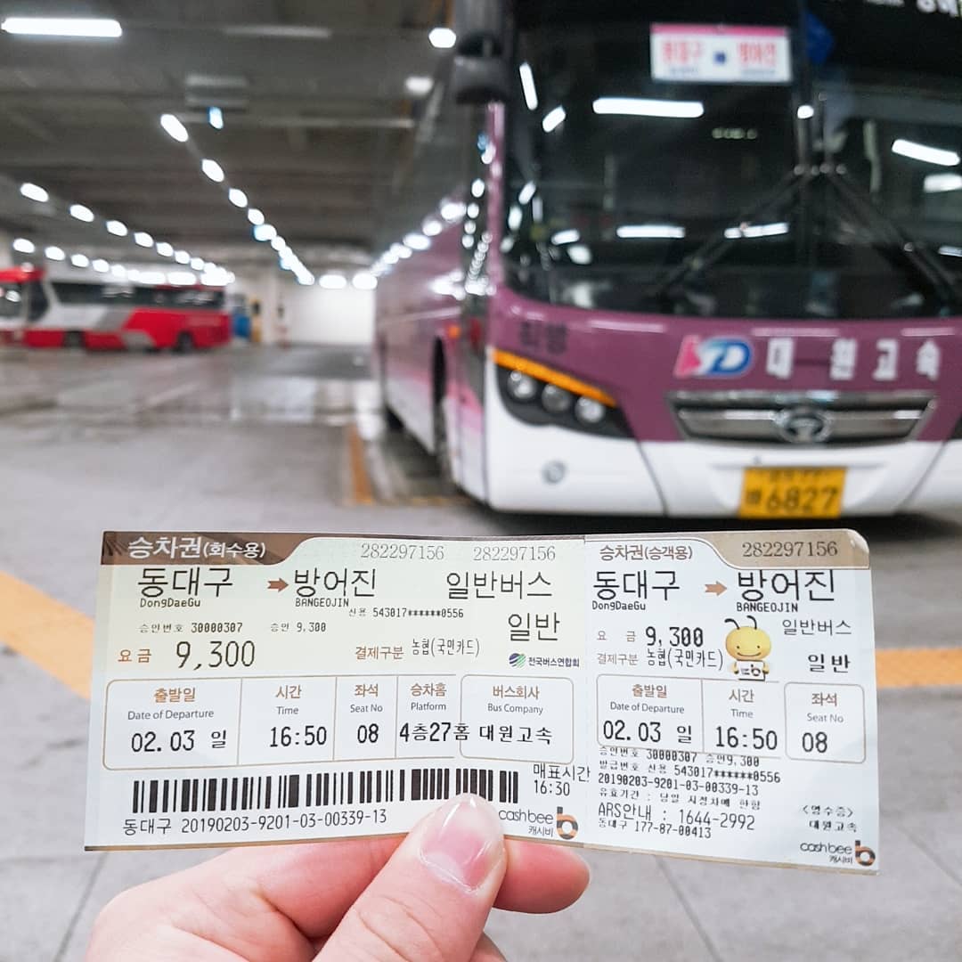 Bus Inter City
