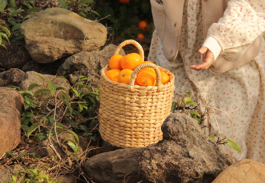 Gamttanamchakhan Farm