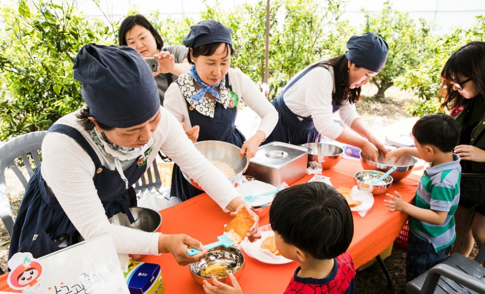 Merasakan Seperti Apa Pertanian di Jeju Mandarin Farm