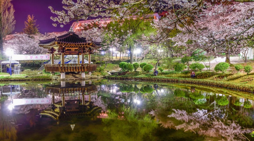 Tempat Terbaik Menikmati Musim Semi di Korea Selatan
