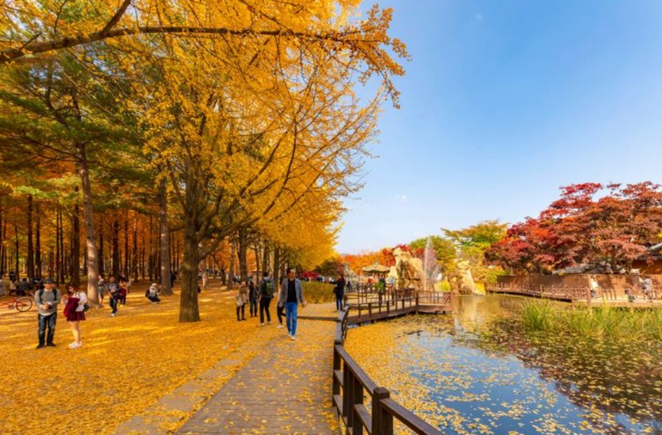 Lokasi Syuting Film dan Drakor yang Cocok Untuk Liburan di Korea Selatan