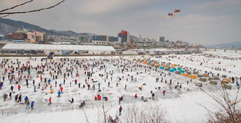 Hongcheon River Ginseng Trout Festival