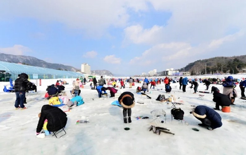 Pyeongchang Trout Festival