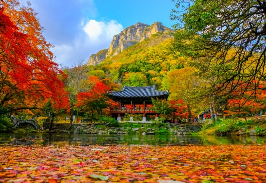 Taman Nasional Naejangsan Korea Selatan