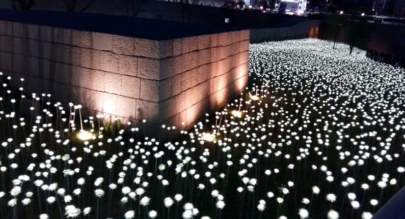 DDP LED Rose Garden