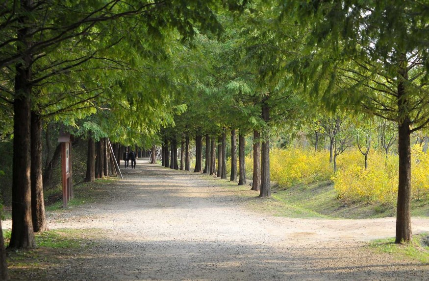 Incheon Grand Park