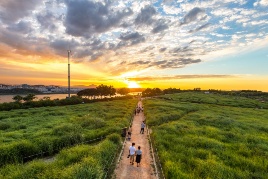 Haneul Park Seoul, Surga Tersembunyi di Tengah Kota yang Penuh Pesona Sepanjang Tahun, Foto visitkorea.or.kr