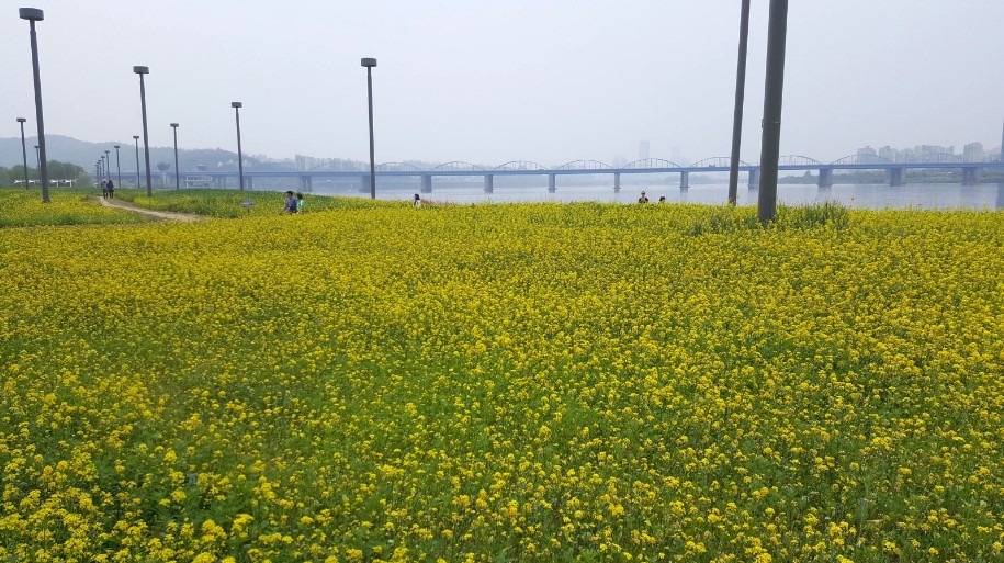 Banpo Seoraeseom Island, Wisata Romantis di Seoul yang Wajib Dikunjungi, Foto static.wixstatic.com