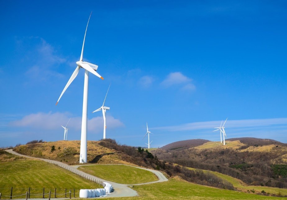 Daegwallyeong Sky Ranch, Peternakan di Ketinggian yang Memukau Sepanjang Tahun, Foto Tripadvisor