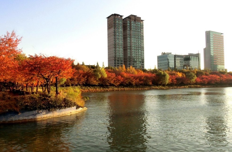 Menikmati Pesona Seokchon Lake Park Korea Selatan, Foto Tripadvisor