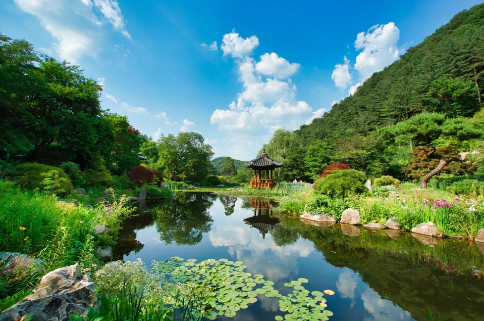 Pesona Empat Musim di Garden of Morning Calm, Foto Tripadvisor