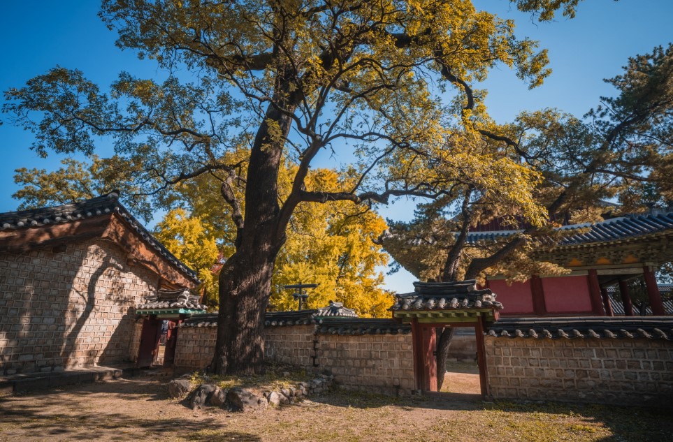 Pesona Myeongnyundang Hall of Sungkyunkwan University, Foto english.seoul.go.kr
