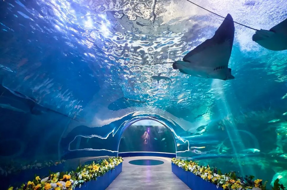 Aqua Planet Yeosu, Foto Tiket.com