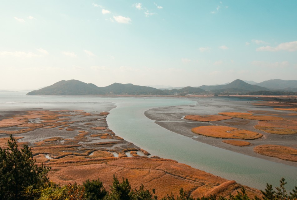 Suncheon Bay Wetland Reserve, Foto Tripadvisor